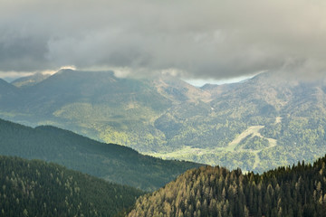 Planina Konjscica. Julian Alps. Slovenia  