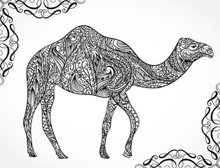 Camel decoration with oriental ornaments. Vintage hand drawn vector illustration