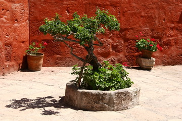 Kloster Santa Catalina in Arequipa, Peru © andigia