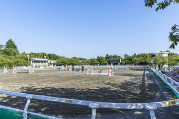 馬事公苑のメインアリーナ