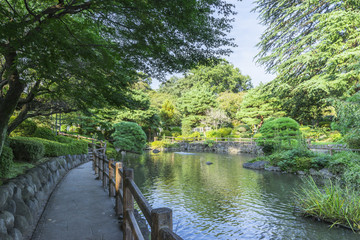 馬事公苑の日本庭園
