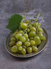 green grapes in a metal plate on a gray background