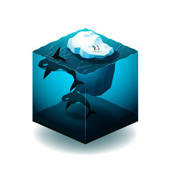 Isometric cube illustration with with iceberg, orcas and penguin