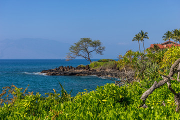 Fototapeta na wymiar Coastline, Maui, Hawaii