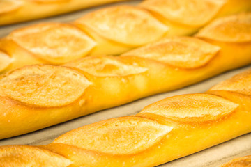 crisp and golden delicious French baguette