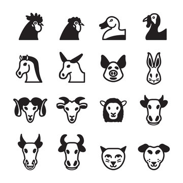 Domestic animals icon set. Vector eps 10.