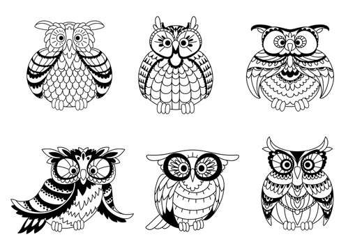 Black and white owls outline silhouettes