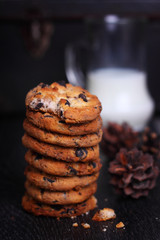 biscuits with chocolate drops on a dark background