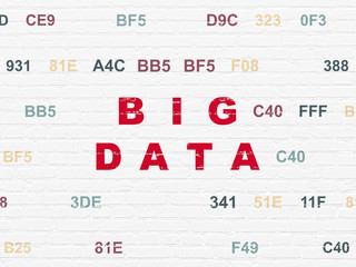 Information concept: Big Data on wall background