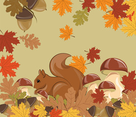 Squirrel in Forrest. Autumn background with leaves, acorn and mushrooms. Vector