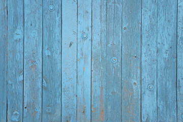 Wall from boards with old blue paint.