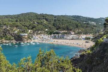 Fototapeta na wymiar Sa Riera beach in Costa Brava, Catalonia, Spain