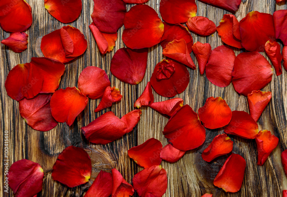 Wall mural rose petals on wooden background