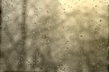 raindrops on window