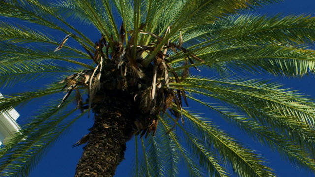 Stock Video Footage of Bialik Square buildings and sky in Tel Aviv shot in Israel at 4k with Red.