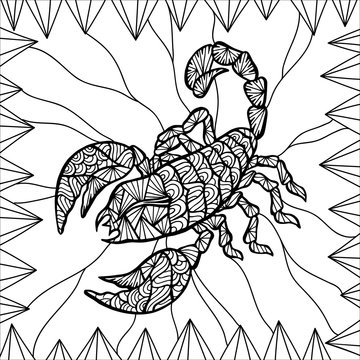 Stylized vector Scorpion