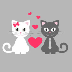 romantic cute kitten white and gray sitting