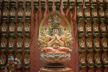 Fototapeta premium many Buddha figures