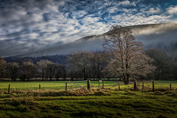 A misty morning in the Swansea Valley near Glynneath, South Wales.