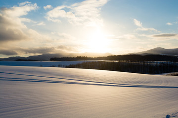 夕陽に光る雪原