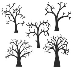 Obraz premium silhouette of trees 