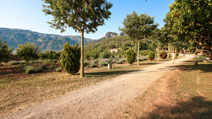 Obraz premium Romantische Finca, Mallorca