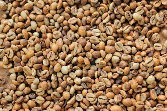 Kopi Luwak. Fermented grain coffee