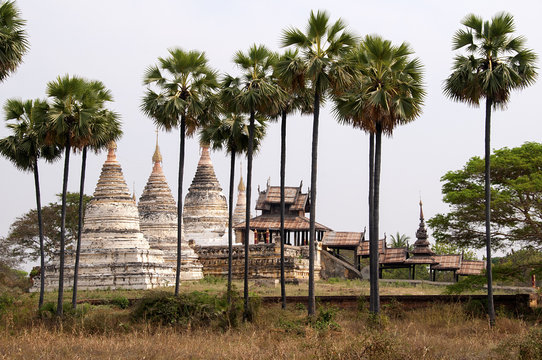 pagoda w Bagan w otoczeniu palm