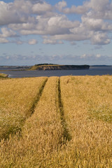 The Island of Mors, Looking North. The island of Mors lies in the middle of the Limfjord, a still body of water that cuts through the mainland of Denmark. The island is a peaceful rural backwater. © janecampbell21