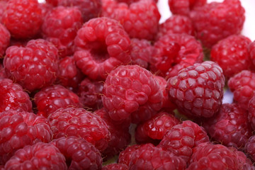 A beautiful selection of freshly picked ripe red raspberries.