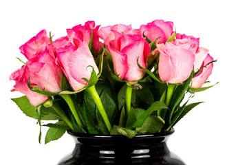 a bouquet of roses on a white background.