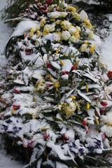 Schnee auf frischem Grab mit Frühblühern