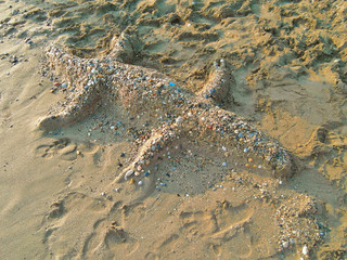 Крокодил из песка. The crocodile is made of sand.