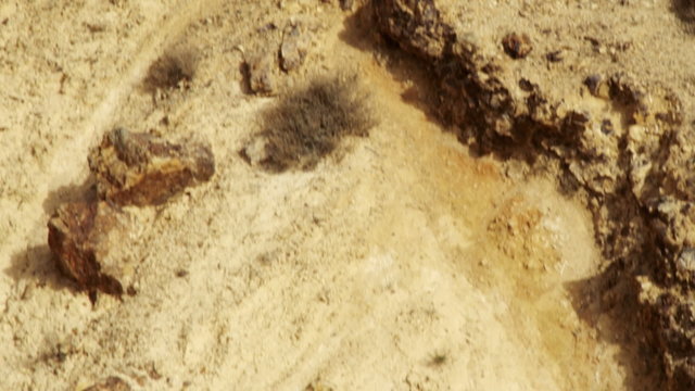 Royalty Free Stock Video Footage of Wadi Zin desert shot in Israel at 4k with Red.