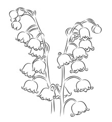 Sketch of wild flowers.