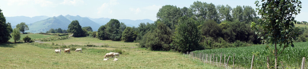 Fototapeta na wymiar Panorama of Pyrenees