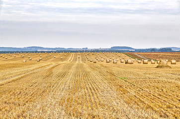 HDR shot of a harvested field in summer