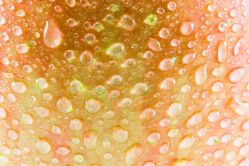 closeup water drops on fresh apple
