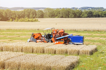 orange harvester on a agricultural trial field