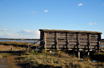capanna in legno per osservare gli uccelli