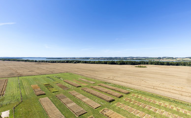 agricultural trial fields in Mecklenburg, Germany