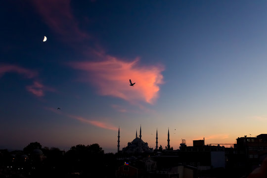 Twilight urban View of historical District of Istanbul City with Sea Gulls