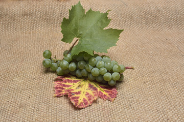 Grapes