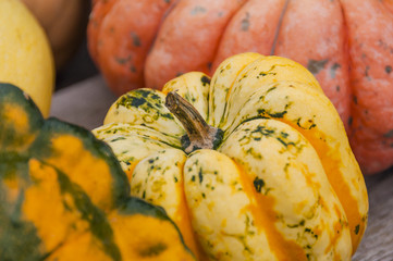 K&uuml;rbis, K&uuml;rbisfest, K&uuml;rbisdekoration, Herbstfest, K&uuml;rbisdekor, Dekoration, Herbstdekoration, Gartenarbeit, Freizeit, Herbst, Schweiz