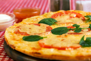 Homemade Pizza Margarita