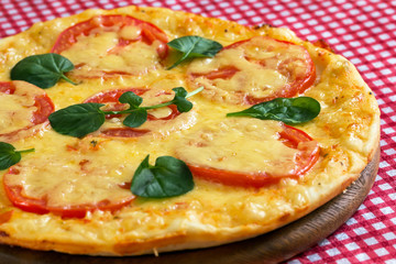 Homemade Pizza Margarita