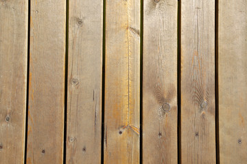 Plank, close-up