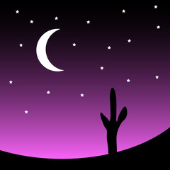 Obraz na płótnie Canvas Desert with cactus plants at night. Vector illustration.