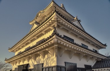 Fototapeta premium castle