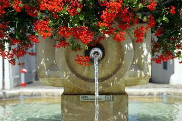 Fountain with flowers